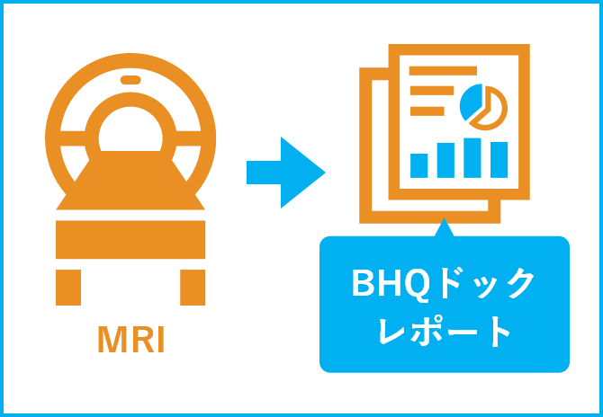 BHQドックレポート